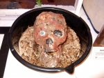 Skull with worms.jpg